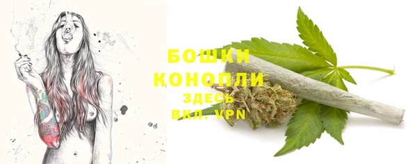 ECSTASY Елизово