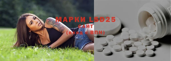 ECSTASY Елизово