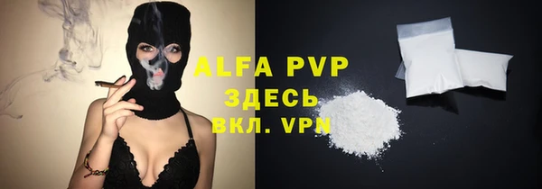 ECSTASY Елизово