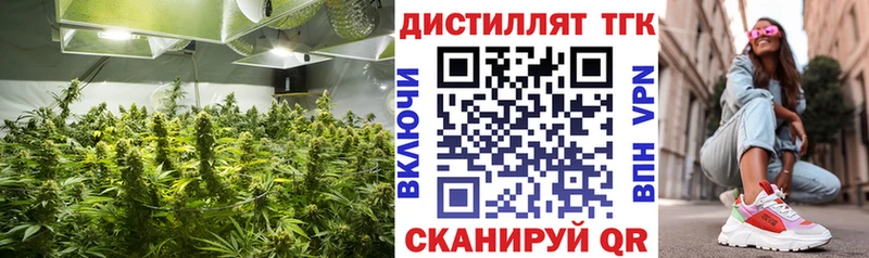 ТГК Wax  Зерноград 